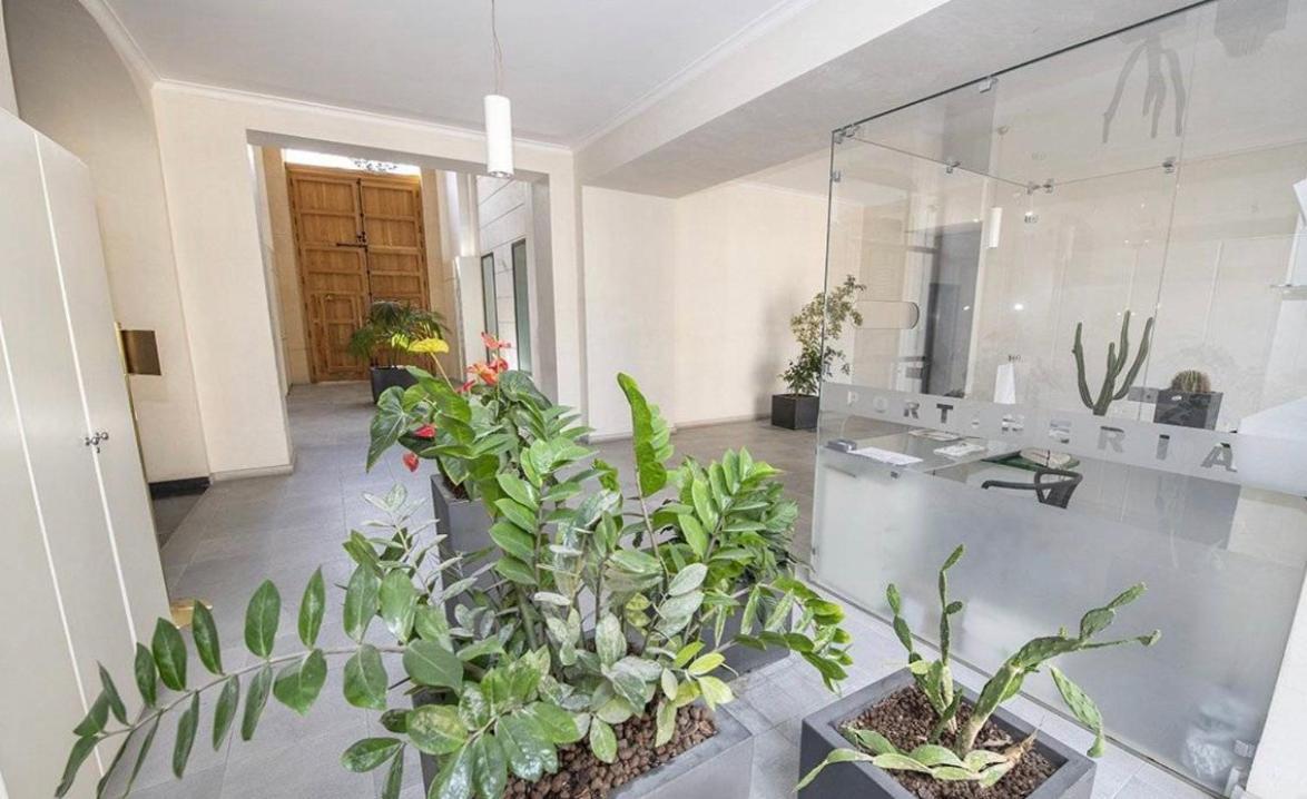 Gran Cancelliere Apartment With Parking Palermo Eksteriør billede